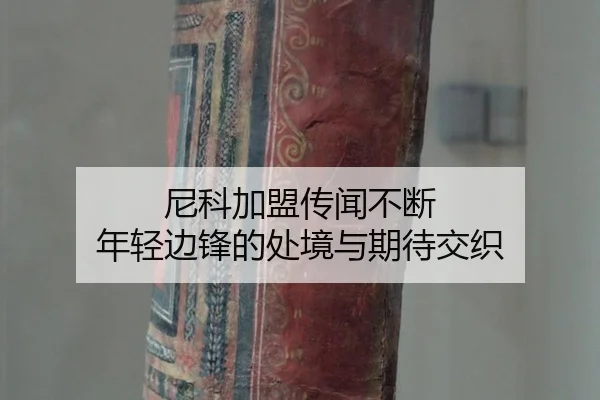 尼科加盟传闻不断 年轻边锋的处境与期待交织
