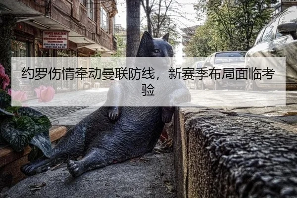 约罗伤情牵动曼联防线，新赛季布局面临考验